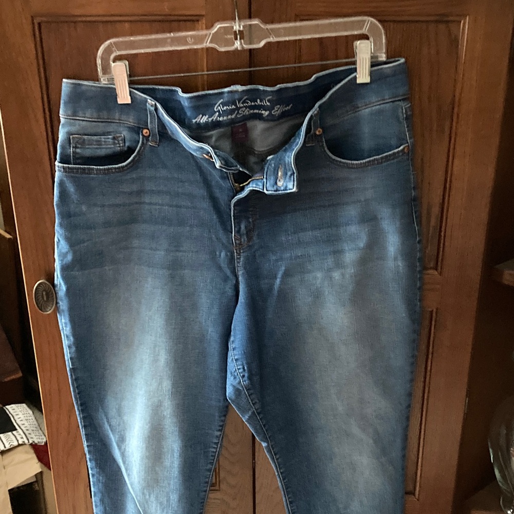 Gloria Vanderbilt Indigo All-Around Slimming Jeans